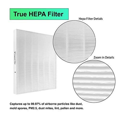 Winix Compatible C545 Filter S Replacement - Fits Winex C545 Air Purifier - Replaces Part Number 1712-0096-00 - Includes 2 True H13 Grade & 8 Activated Carbon Filters - Smoke & Odor