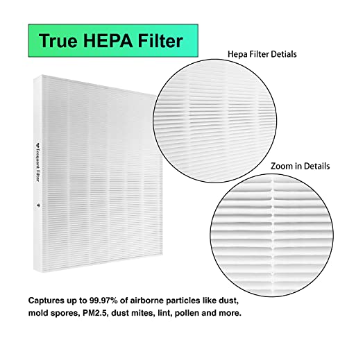 Coway Airmega AP-1512HH Mighty Air Purifier Replacement Filters - 2 True HEPA Filters 8 Pre-Cut Activated Carbon Pre-Filters - Fits AP1512HH Item No #3304899 & Airmega 200M